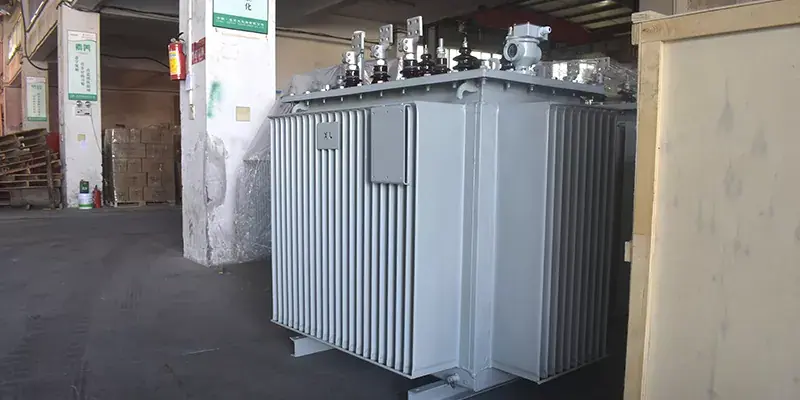 Characteres olei immersi transformers