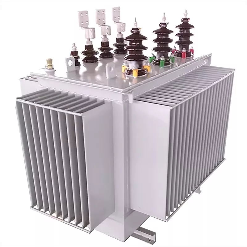 Princeps Frequency Tres Phase 1000kVA Oil lmmersed Transformer